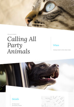 Pet Party - Pet Homecoming - Modern Invitation