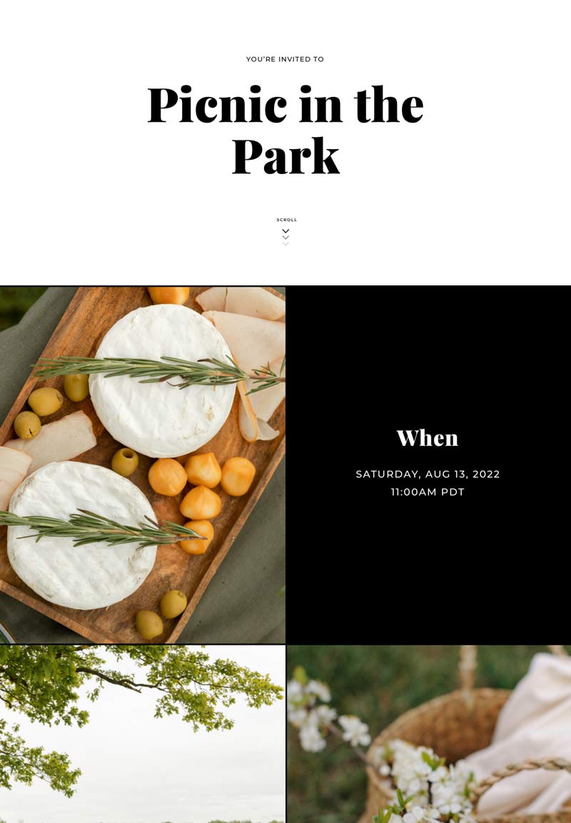 Cocktail Party - Picnic - Gallery Invitation