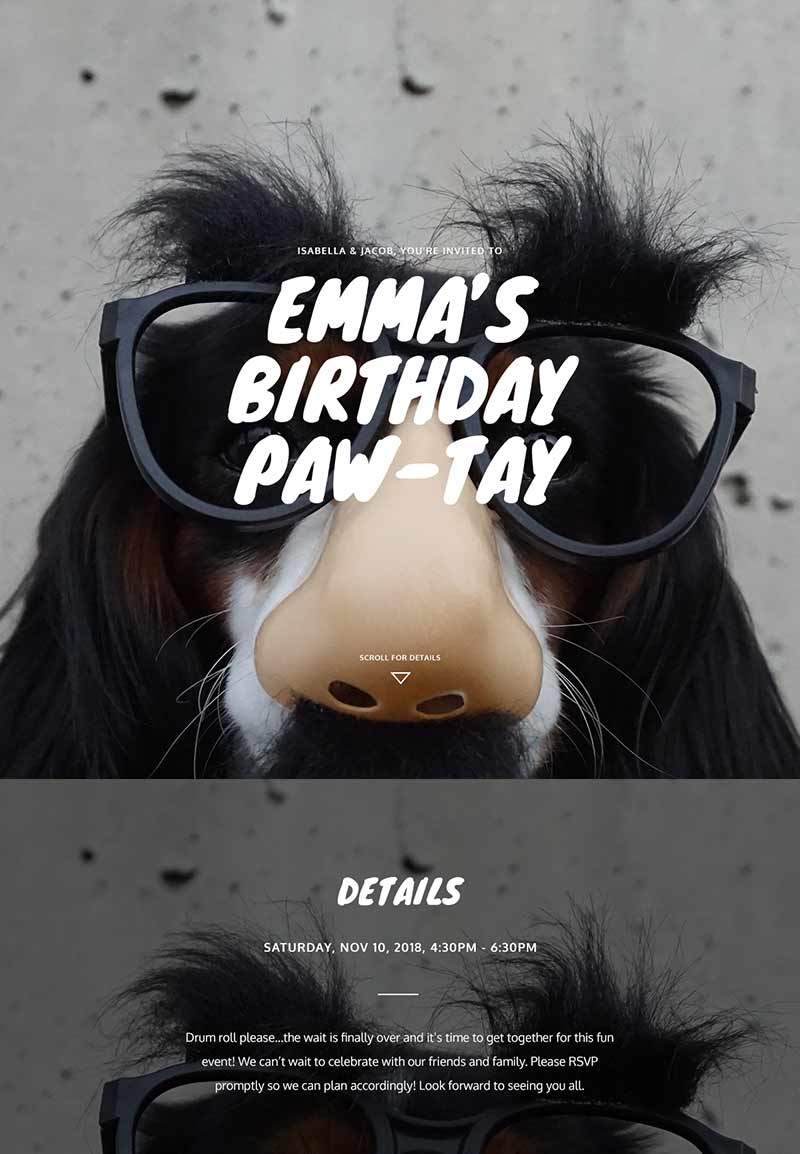 Pet Party - Pet Birthday - Immersive Invitation