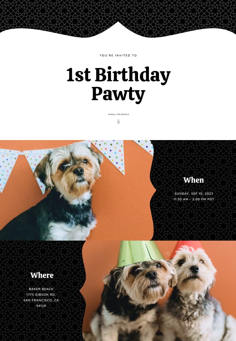 Seasonal - Pet's 1st Birthday - Elegant Invitation